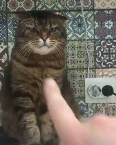 Недов<wbr>ольны<wbr>й Котя