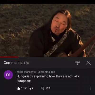 Hungarians, Bulgarians and Turks*