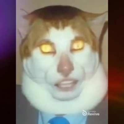 your cat is cat is: Vt*ber ð¤®ð¤®ð¤®