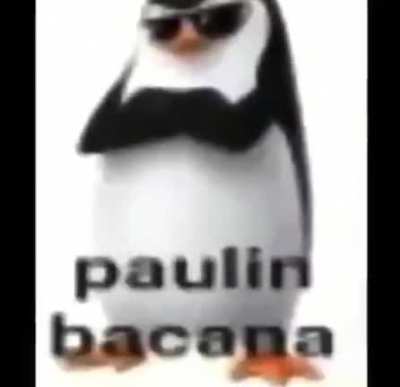 PAULO BACANAO