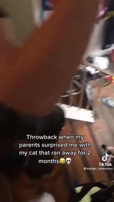 They got the cat back, guys!