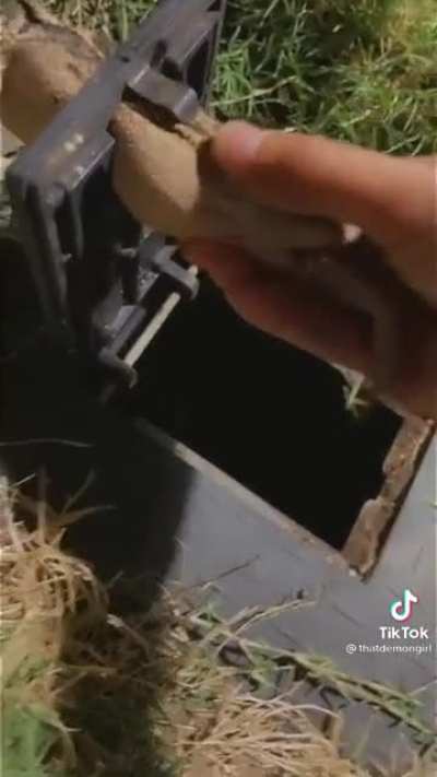 Don’t lick the frog