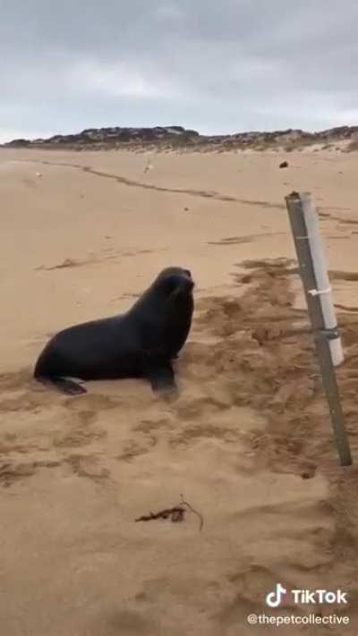 You bastards