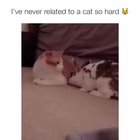 Hello darkness
