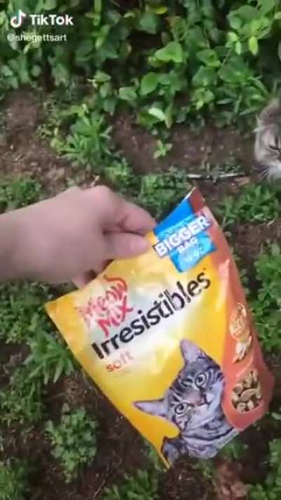 Meoooow Mix
