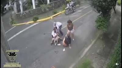 When dog bites someone do this: