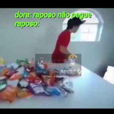 Raposo…