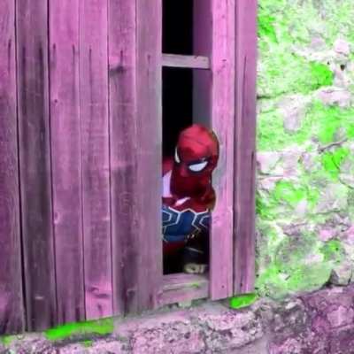 Crazy Spider-Man