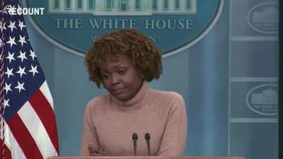 A reporter uses all his time at the White House press briefing to ask about an assessment that “literally everyone on Earth will die” because of artificial intelligence, gets laughed at