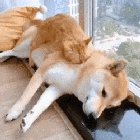 Zzzzzz...