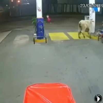 Run!