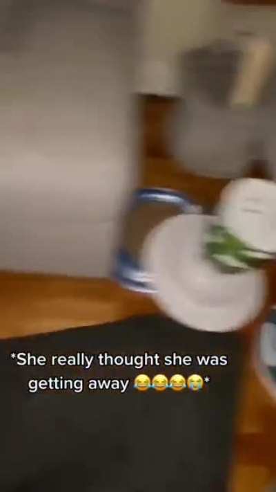 to steal chicken