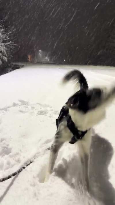 She absolutely LOVES snow