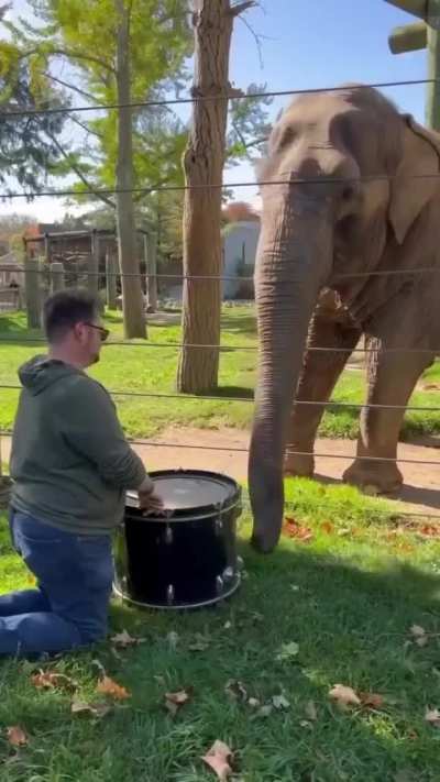 Elephants are highly intelligent animals. They are known for their problem-solving abilities, social intelligence, memory, and ability to learn and communicate. 🐘