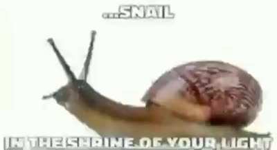 Take me to snurch