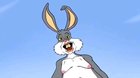 Oh bugs