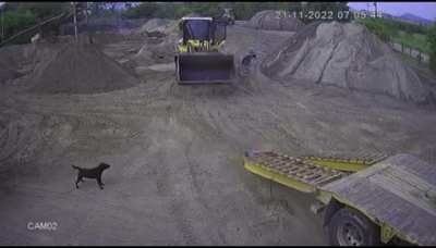 Worker Crushed in Brazil
