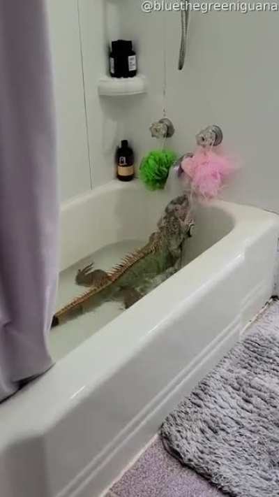 Vibing on a bathtub