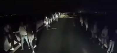 Truck driver in europe runs into trouble