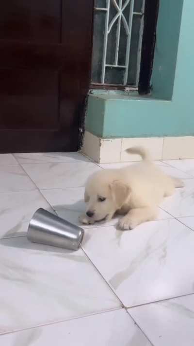 Play time