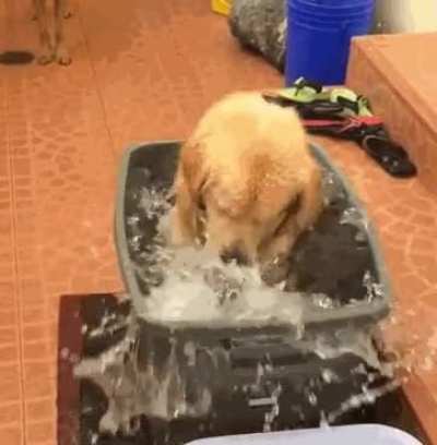 Dig, dig, dig