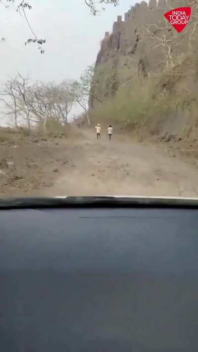 Some youth throw stones at a bee hive in madhya pradesh india , this the aftermath