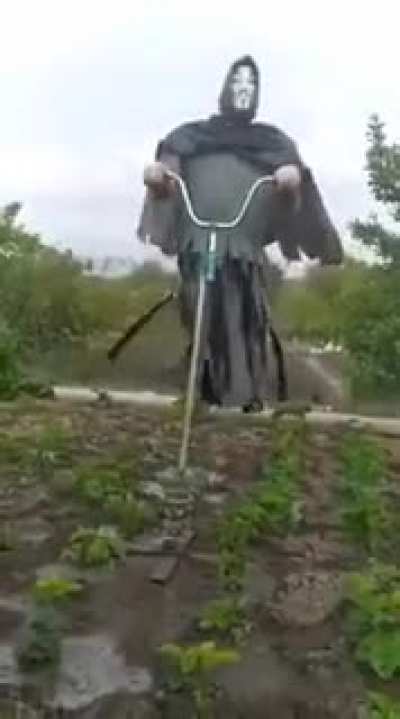 Scarecrows 2.0