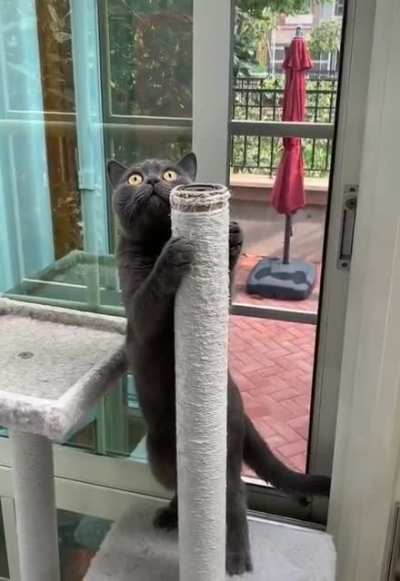 The first night on the pole can be daunting