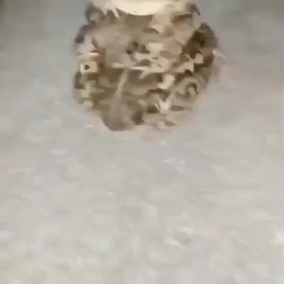 I'm losing my mind trying to find the name of this song, i know its not a lot to go off of but idk where else to look