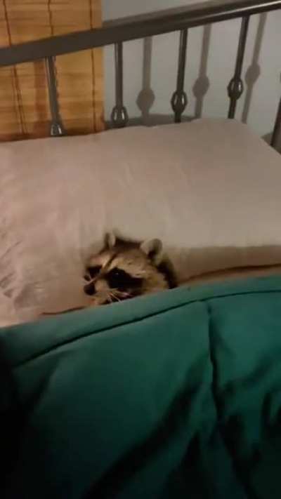 It's time to rest.