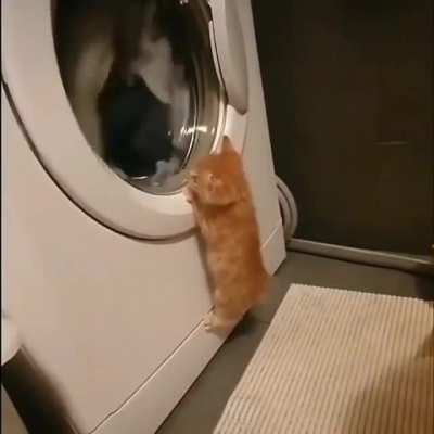 3 year old me trying to watch the clothes getting washed