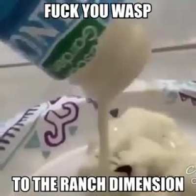 Thought this might fit here