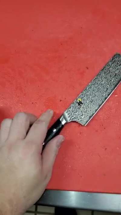 Miyabi Hibana 6.5