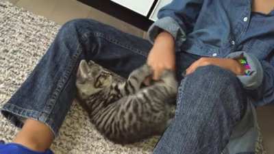 Kitty approves friendship by giving his hooman a hug