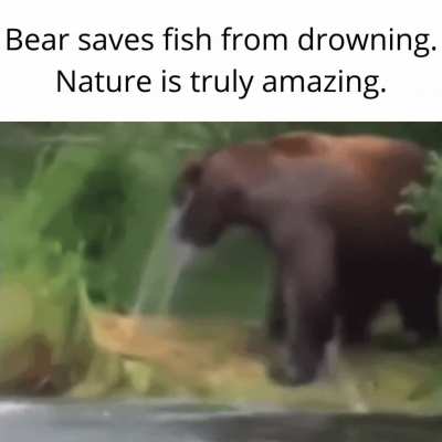Let’s go bois another one saved from harm.