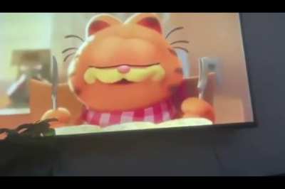 GARFIELD NO !