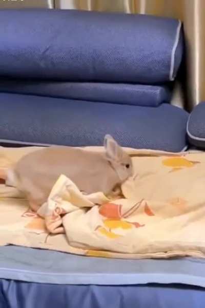 OK, I'll tuck myself in