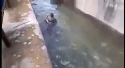 A drunken man has jumped into bear pit in Zoo, and fought adult female brown bear.
