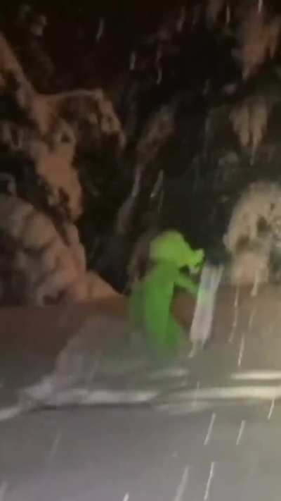 Peashooter in real life