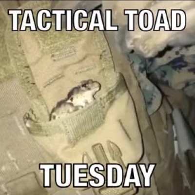That time of the week again