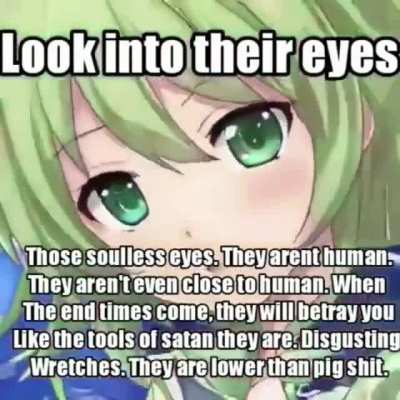Anti Anime Girl Meme
