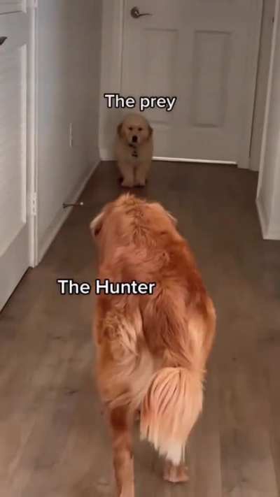 friends for life