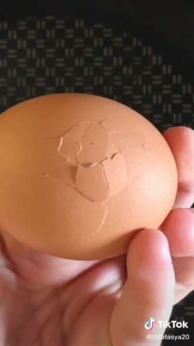 Wow what a beautiful chick.