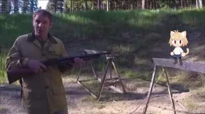 gun safety