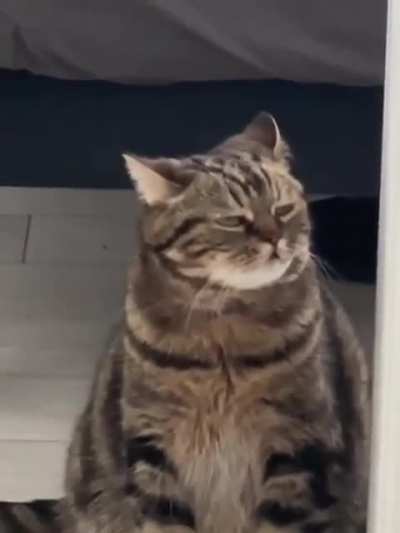 My condition by the end of the week