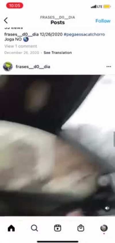 iiiiiiaaaaaaa guri
