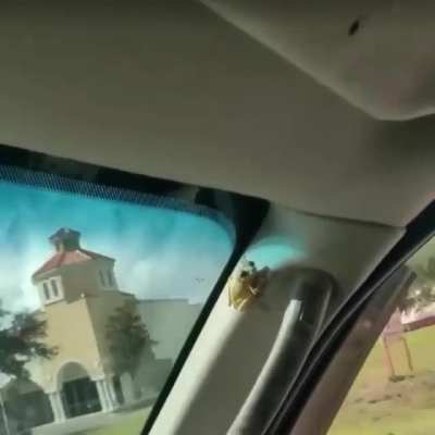 That frog was savage! Watch till the end
