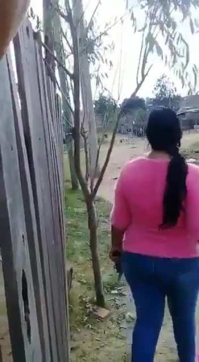 Tranquilo Concordia