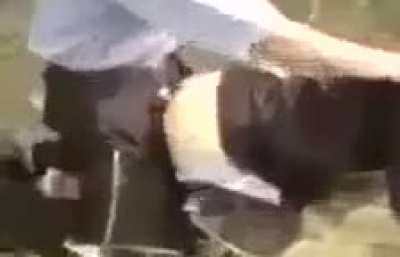 Hay hay (arkadaşlarım bunu dedem diye atıyor amk )