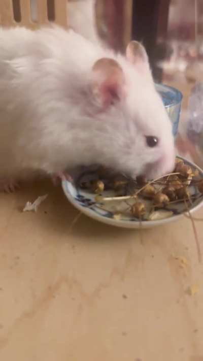 Snacks = Life